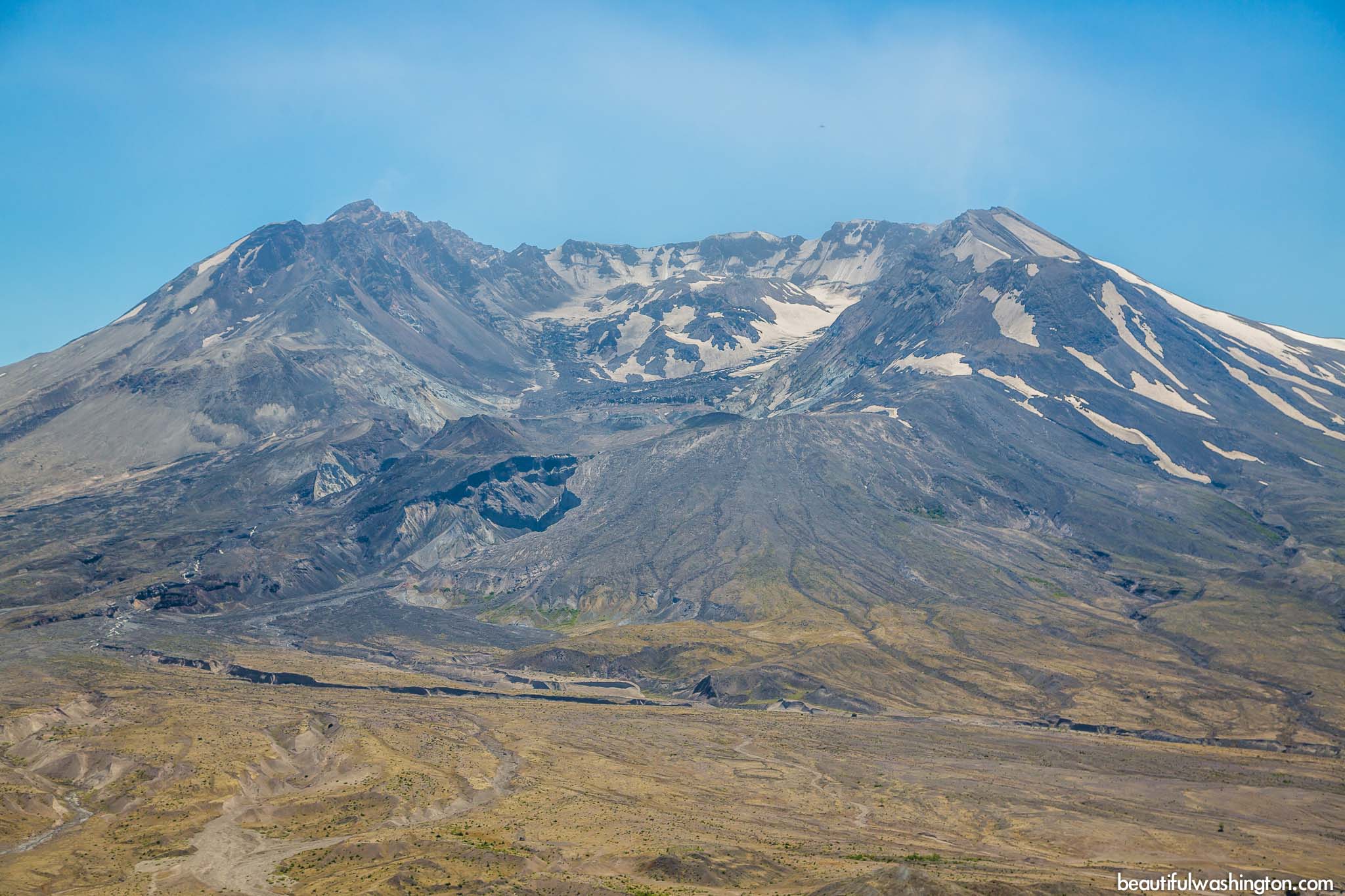 Photo from Mt. St. Helens Area, Harry's Ridge Trail